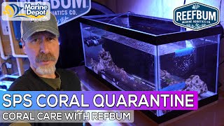 How to Setup a SPS Quarantine Tank Coral Care with Reefbum [upl. by Irap]