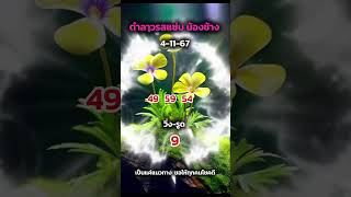 ตำลๅว 41167 เลขดัง เลขเด็ด ลาวพัฒนา ลาว [upl. by Halehs]