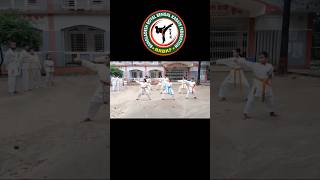 Group kata  Shotokan karate  Bangladesh Royal Bengal Karate Federation  BRBKF [upl. by Ellitnahc626]