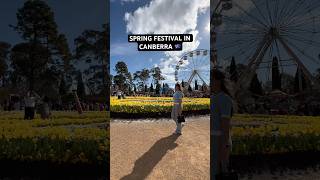 Spring festival in the Southern Hemisphere 🇦🇺🌻🎡🌺🌍 floriade canberra australia [upl. by Enal]