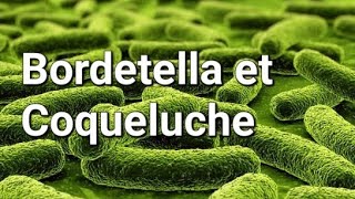 BORDETELLA ET COQUELUCHE [upl. by Malynda]