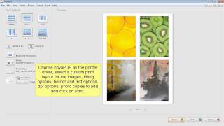 Convert images to PDF using Picasa [upl. by Vyky]