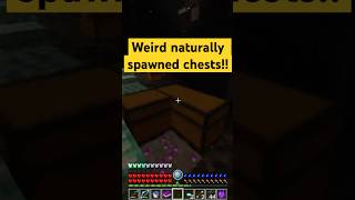 Weird double chest minecraft gaming rlcraft rlcraftv2 rlcraftdregora minecraftgameplay [upl. by Rufena]