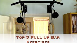 Top 5 Pull up Bar Exercises [upl. by Lawley]