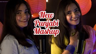 New Punjabi mashup  Swati Mishra [upl. by Nador478]