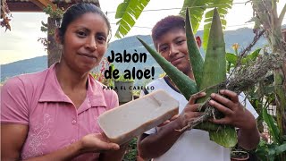 COMO PREPARAR JABON DE ALOE VERA PARA EL CABELLO [upl. by Aim]