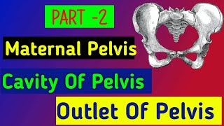 Part 2  Maternal Pelvic  Cavity and outlet of true pelvis  Midwifery Practical Procedure [upl. by Fafa]