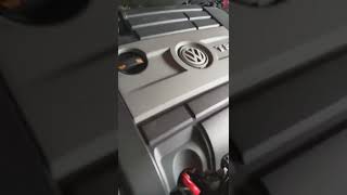 timing chain noise on mk6 R sounds like a diesel🤣 [upl. by Dranyam]