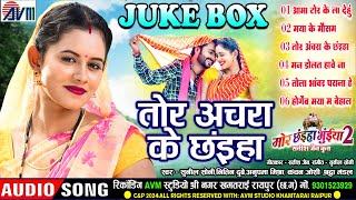 Mor Chhaiya Bhuiya 2  Cg Film Song  Tor Achara Ke Chhaiya  AudioJukebox  Man Diksha Elsa Deepak [upl. by Arrad]