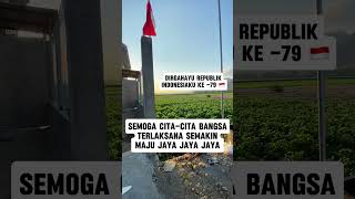 afirmasisukses quotes [upl. by Aleusnoc114]