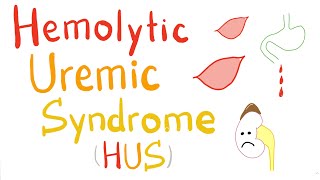 Hemolytic Uremic Syndrome HUS [upl. by Berthe266]