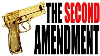 The Second Amendment Explained The Constitution for Dummies Series [upl. by Tabbitha]