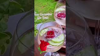 Delicious🌹🥒Rose Cucumber Gin amp Tonic🌹🥒🍹Recipe is in the Description🍹 fizzup cocktails ginmartini [upl. by Lexis]