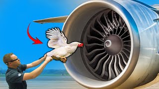 Bird Strike Jet Engine Test  This Is How Airplane Engines Are Tested  Flashinfo [upl. by Jedlicka]