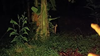 Live Misteri‼️BUKIT GENDERUWO SEMAKIN BANYAK PENAMPAKAN [upl. by Ludvig858]