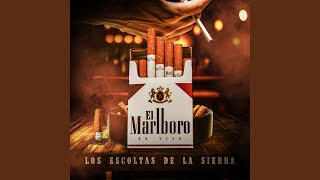 El Marlboro En vivo [upl. by Jempty141]