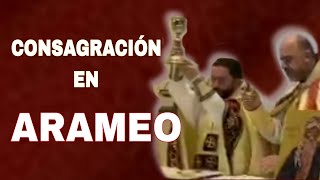 CONSAGRACIÓN EN ARAMEO En la Primera Misa del Padre Estefano [upl. by Eignat267]