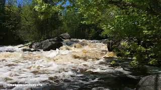 Peshtigo River [upl. by Ahsasal983]