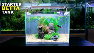 Aquascape Tutorial ULTIMATE BETTA Nano Tank For Beginners How To No co2 Planted Tank Step by Step [upl. by Orelie]