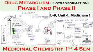 drug metabolism phase 1 and phase 2  biotranformation  L9 U1  medicinal chemistry 4th semester [upl. by Ehctav]