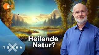 Harald Lesch  und die unterschätzte Klimachance  Terra X Harald Lesch Ganze TVFolge [upl. by Analram]