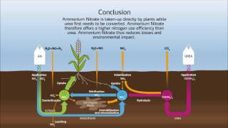 Nitrogen cycle in the soil [upl. by Htrahddis273]