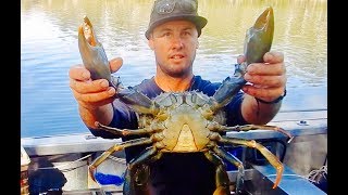 Boatcamping Spearfishing Crab Trapping Adventure [upl. by Yorztif472]