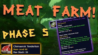 Chimaerok Tenderloin Phase 5 Gold Farm  23 Player Farm  Classic WoW [upl. by O'Mahony]