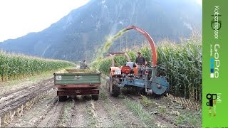 Grünfutterernte mit 2x Steyr Power SoundspecialFullHDGoPro [upl. by Enerehs]