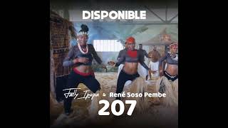 FALLY IPUPA 207  CLIP OFFICIEL  2024 [upl. by Ecnaralc]