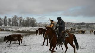 Sarge Pitchfork Ranch Horse Sale 2022 [upl. by Nancee]