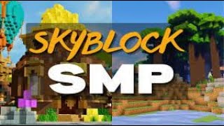 Dumb Ripoff Hypixel Skyblock Server [upl. by Elery]