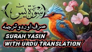 surah Yasin yaseen with Urdu translation quran tilawat beautiful vaic Hindi tarjuma [upl. by Constant982]