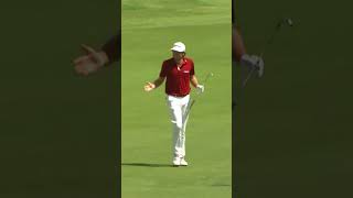 Brilliant Golf Shots  Part 4 [upl. by Welton600]