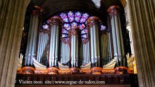 JS Bach  Toccata and fuga in d minor at Notre Dame de Paris Best Version Ever [upl. by Herson]