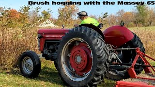 Brush hogging with the Massey 65 [upl. by Regina]