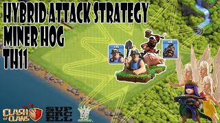 INSANE Miner Hog TH11 Attack Strategy You Need to Try [upl. by Topping]