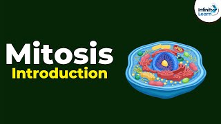 Introduction to Mitosis  Dont Memorise [upl. by Airamasor576]