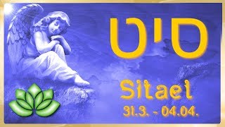 Sitael Engel des Tages 313  44 [upl. by Tildy]