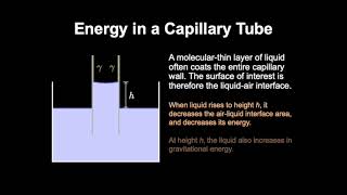 Capillarity A Thermodynamic Perspective [upl. by Holladay139]