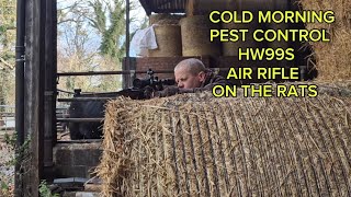 COLD MORNING PEST CONTROL HW99S ON THE RATS [upl. by Heall818]