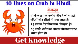 केकड़ा पर 10 लाइन  10 lines on crab in Hindi  Few lines about crab in Hindi 🦀🦀crabessay [upl. by Ahsinev490]