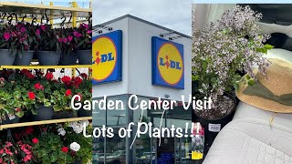 Garden Center VisitLidl has 👀 Wave Petunias🌸Knockout🌹RosesMiracle Grow [upl. by Farly]