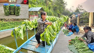 how to make pickles at the farm this way farm building  Ban Thi Diet [upl. by Anirehtak]