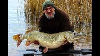 37lb pike Chew Valley fishing [upl. by Ajnek220]