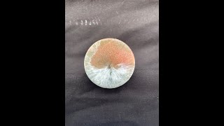 Epoxy Resin Pop Socket [upl. by Cleon]