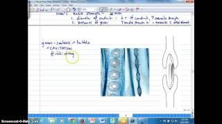 Ch 2K Tensile Strength Cavitation and Embolism [upl. by Chace]