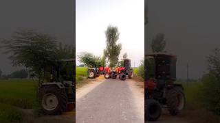 New Holland 3630 special edition Swaraj Dilo ki dhadkan automobile tractorlover tractorvideo [upl. by Sanburn965]