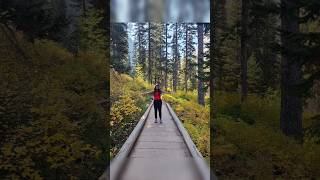 Fall starts in USA shortsvideo fall fallcolors usa america travel yellowstone vlog mountain [upl. by Rasia968]