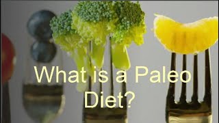 What is a Paleo diet [upl. by Granthem]